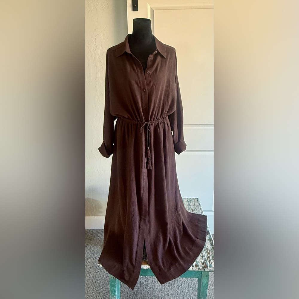Banana Republic Chocolate Maxi Dress